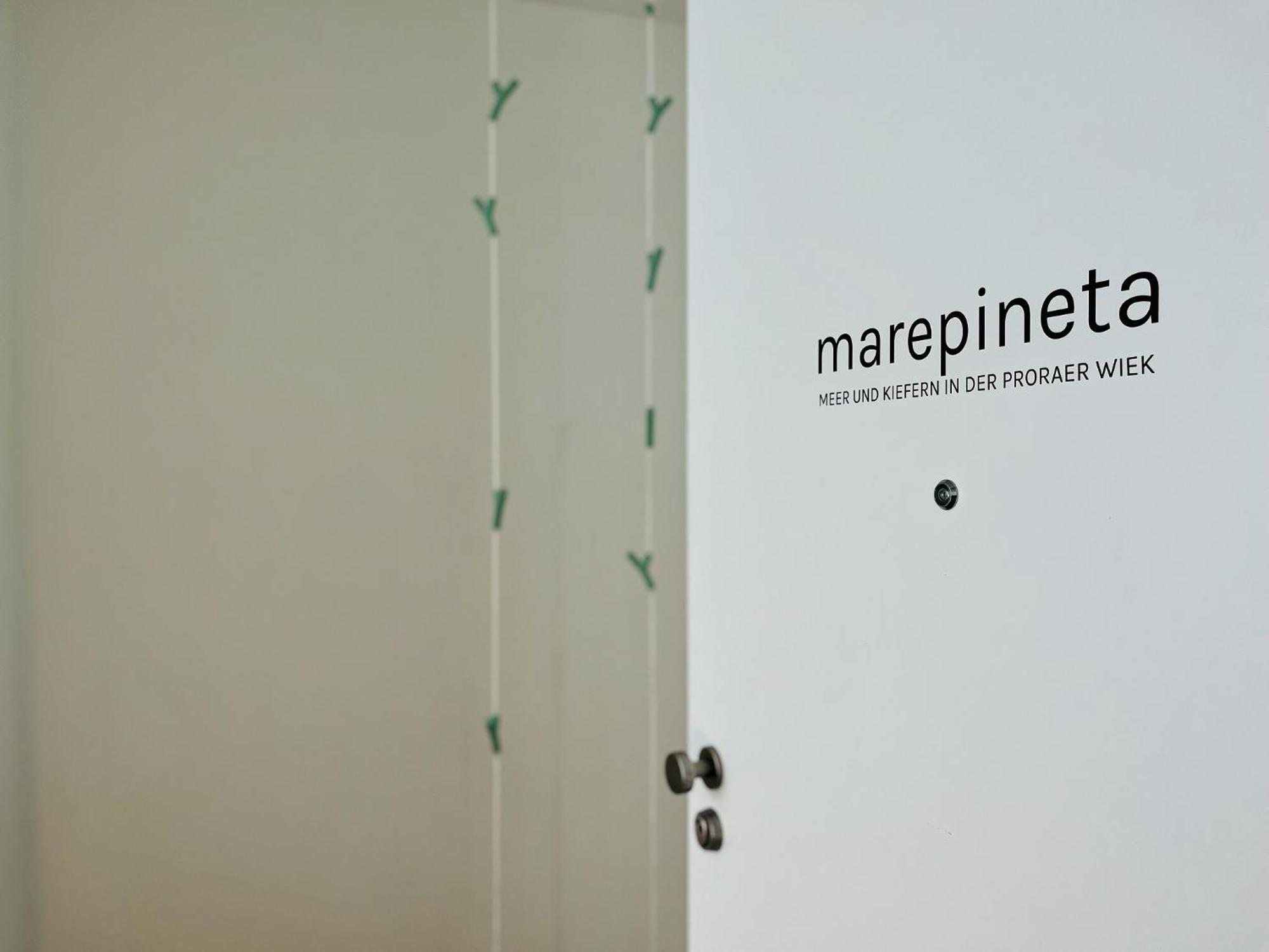 Ferienwohnung Marepineta Im Haus Zudar Prora 宾茨 外观 照片
